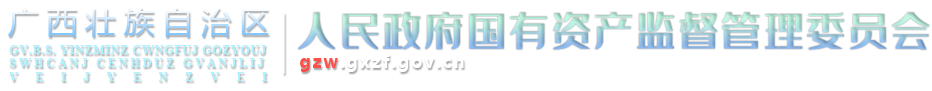  廣西壯族自治區人民政府國有資產監督管理委員會網站